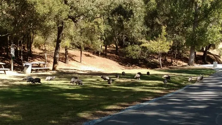 Oak Dell RV Park campground